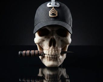 Hand Painted 3D Printed Skull: Airborne Jumpmaster Blackhat Black hat Decoration