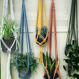 May include: Five macrame plant hangers with different colored cords and tassels hanging from a white door. Each hanger has a potted plant inside.