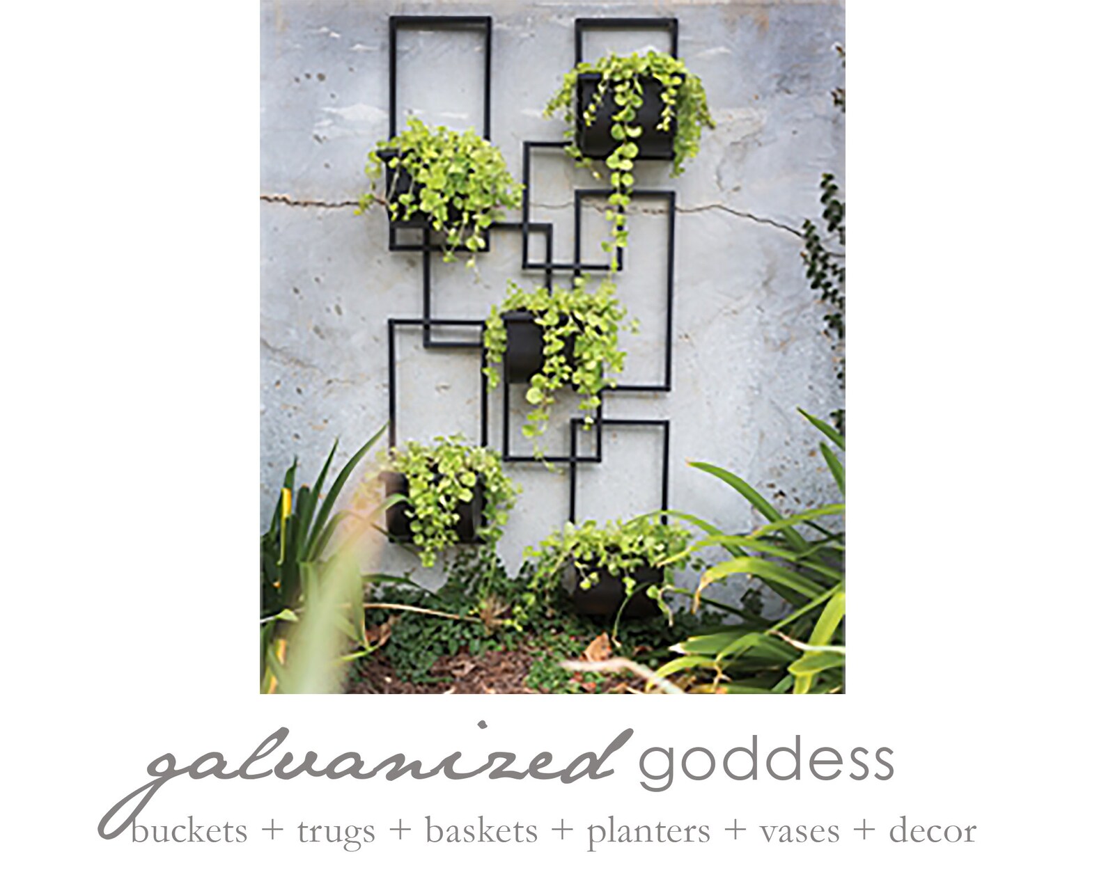 Modern grid wall planter 5 hanging plants wall planter Etsy