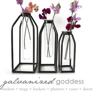 Metal vase, metal glass tube vase, table decor, minimalist decor, cuttings, gardener gift