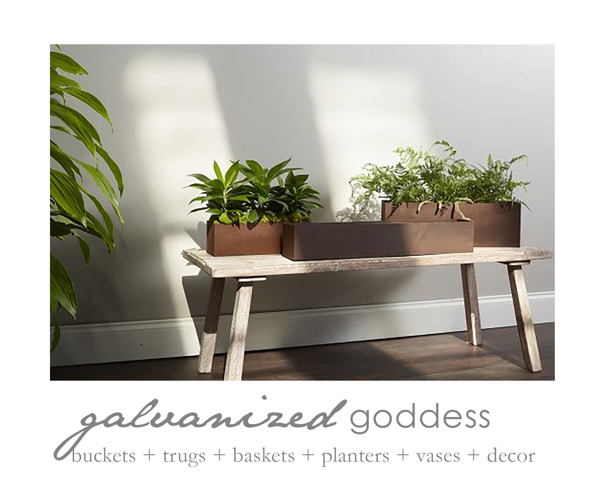 Linea Windowsill Planters 