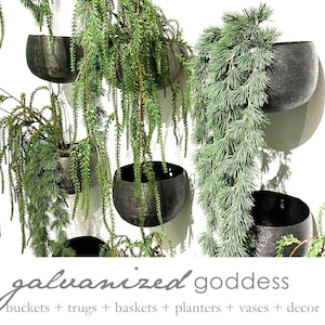 CLEARANCE Wall planter, Metal globe wall plant pot, wall plant pot, metal decor, wall planter