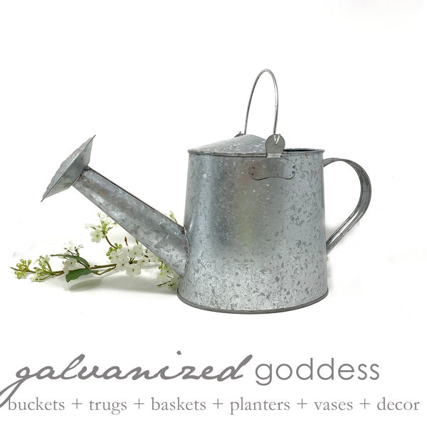 Galvanized watering can, plant watering, rustic watering, farmhouse decor, gallon watering can, outdoor plants, folding handle, fixed nozzle
