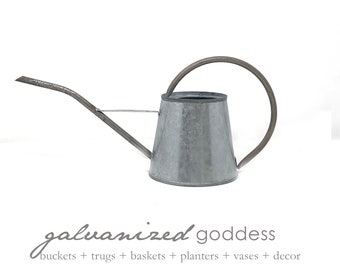 Galvanized watering can, houseplant watering, tin and metal, farmhouse chic, modern decor, indoor watering, hanging plant, small watering