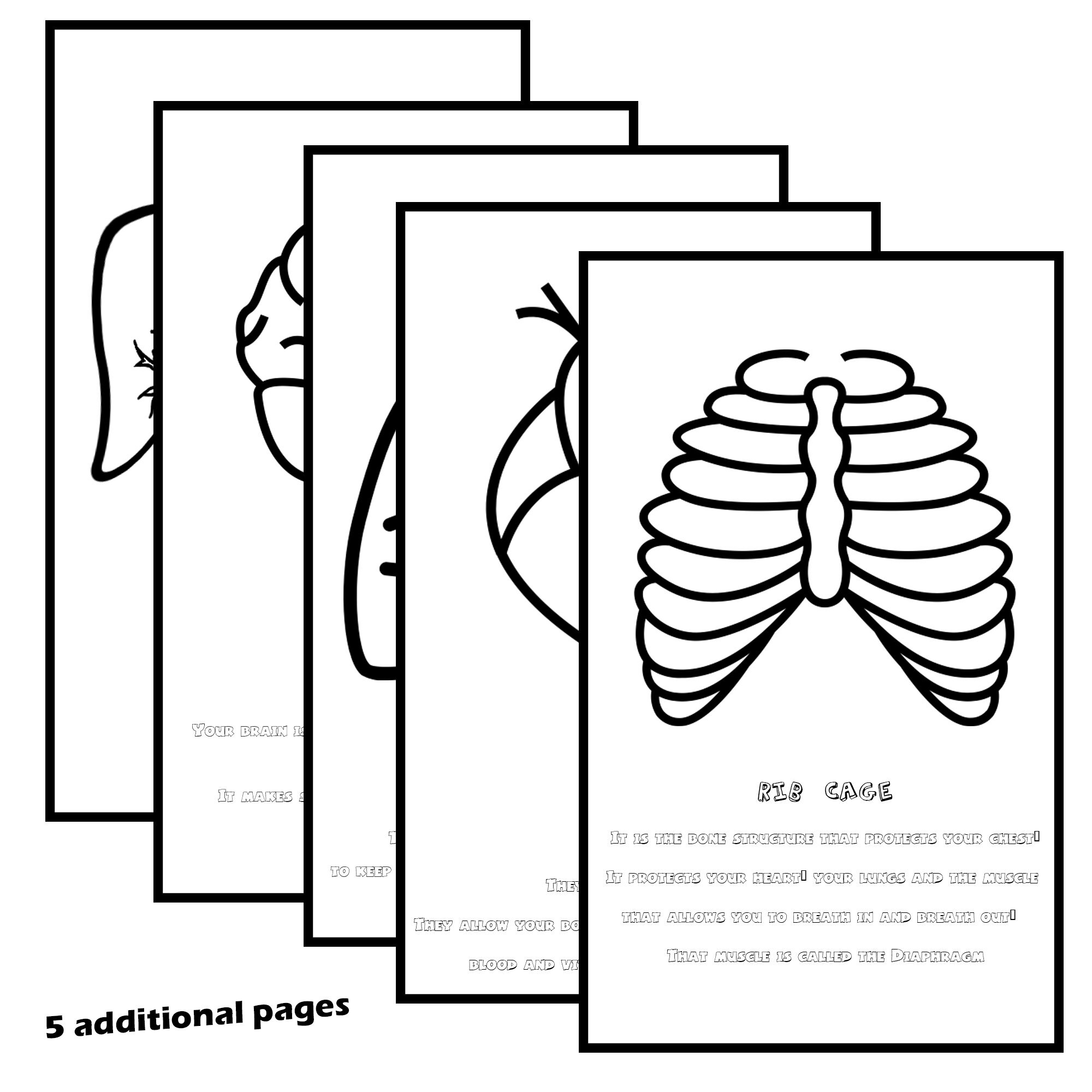 Printable Coloring Pages for Kids Craft | Anatomy | Science | Children