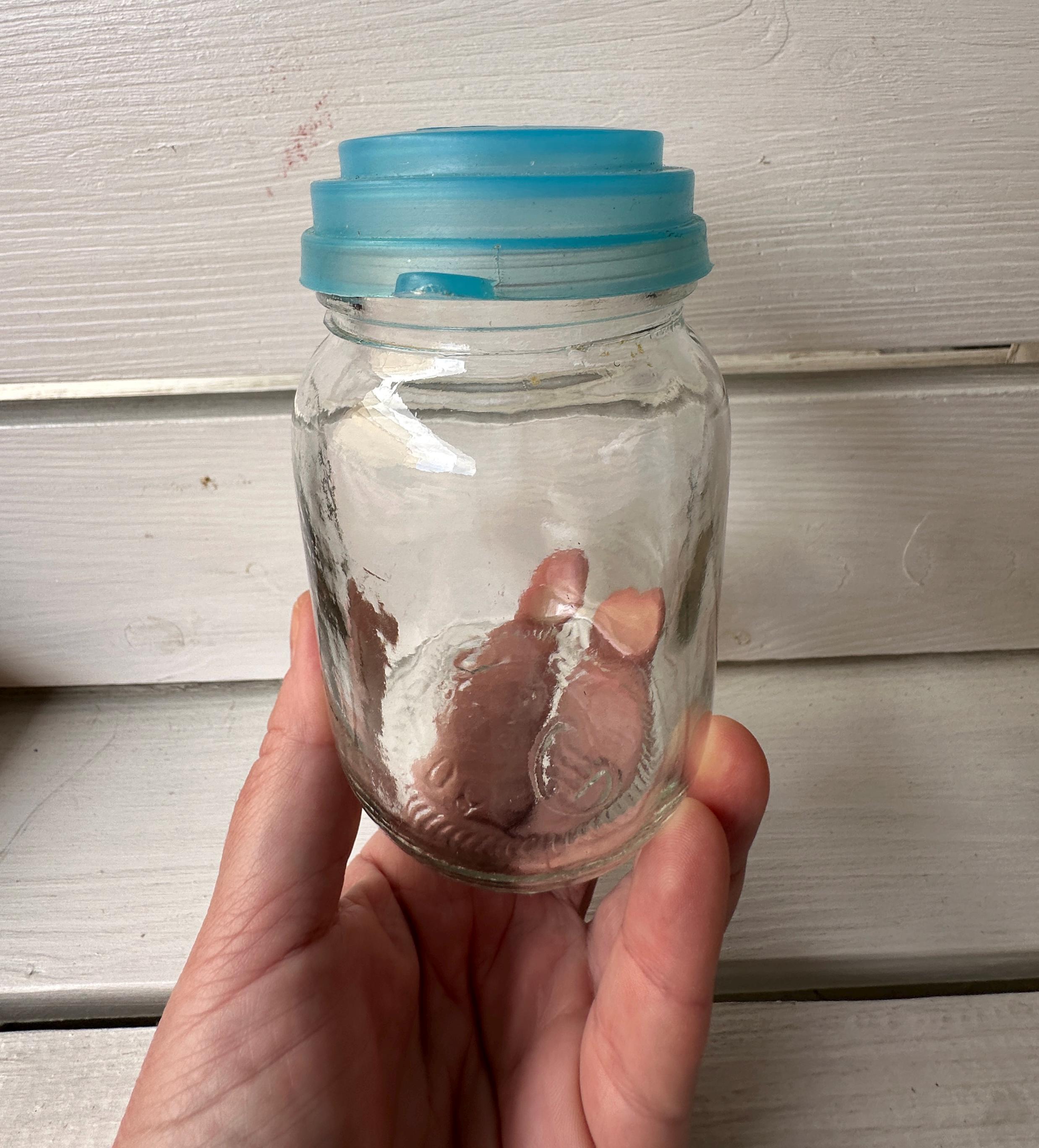 Glass mayonnaise jar - Etsy 日本