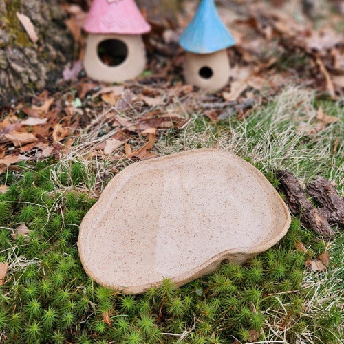 Pond Accessory for Toad Home or Fairy Home!