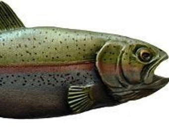 Notting Hill Cabinet Pull Rainbow Trout (Left side/faces Right) Pewter Hand Tinted  4-1/8" x 1-1/2" Large