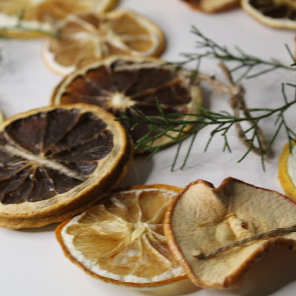 Orange slice garland