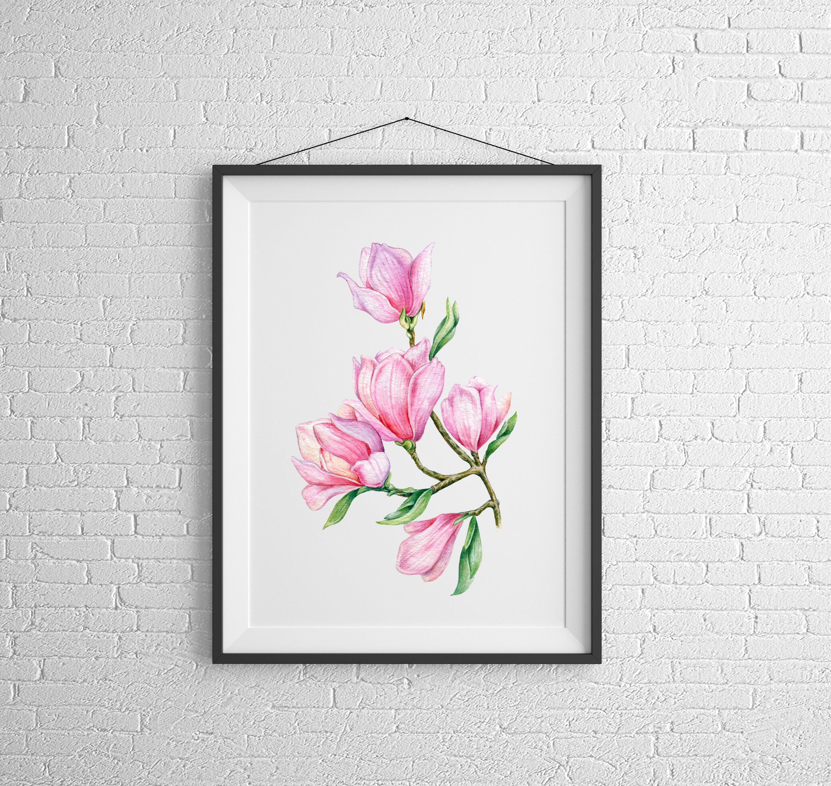 Magnolia watercolor clipart Flowers and Magnolia branchs | Etsy
