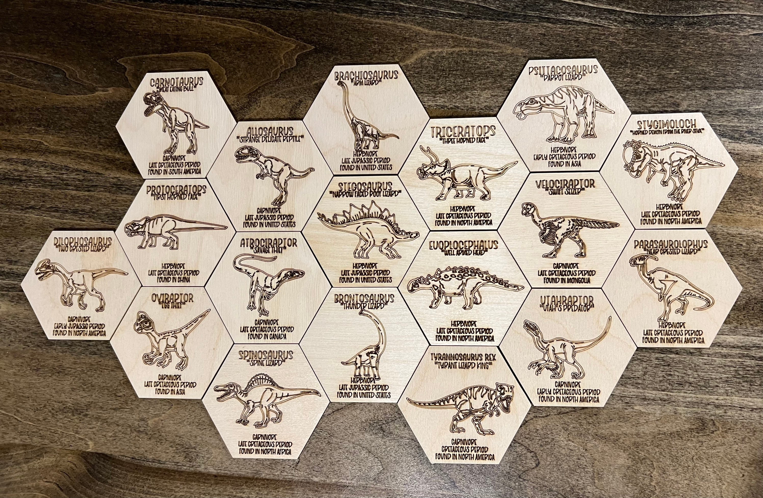 Dinosaur Fact Tiles, Wooden, Laser Engraved, W/carrying Chain - Etsy ...
