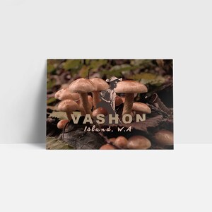 Faites un voyage à Vashon Postcard 5 Pack