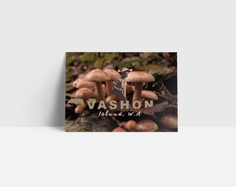 Take a Trip to Vashon Postcard 5 Pack