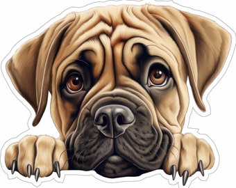 Bullmastiff - Peeking Dog - Sticker vinyle - Race de chien couleur Cad Cut