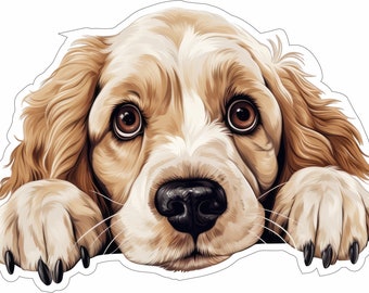 Épagneul clumber - Peeking Dog - sticker vinyle - race de chien couleur Cad Cut