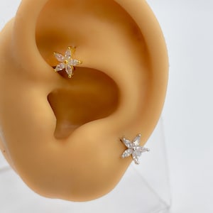 Piercing #104 925 silber vergoldet  Hahn rook helix Ohrringe Silber mini hoop tiny winzig klein Knorpel Blume flower