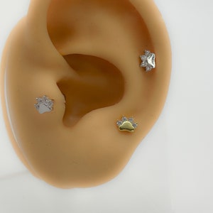 Piercing #235 Helix Tragus s925 argento placcato oro cartilagine piccolo gatto gatto cancello zampa zampa mini