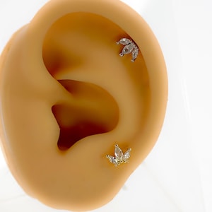 Helix Lotus #204 316l Chirurgen stahl tragus Blume Knorpel Piercing