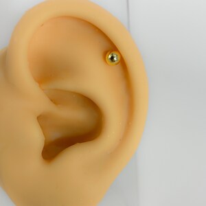 Helix s925 Silber vergoldet #238 Kugel Knorpel Piercing
