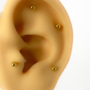 Könnte beinhalten: Nahaufnahme eines gebräunten Ohrs mit vier kleinen, goldfarbenen Kugelsteckern. Die Ohrringe sind gleichmäßig entlang der Ohrkurven angeordnet und erzeugen einen minimalistischen und eleganten Look. Die Ohrringe sind ein einfacher, klassischer Schmuckstil.
