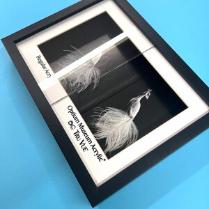 May include: A side-by-side comparison of two framed images of a white peacock. The left image is labeled "Regular Acry" and the right image is labeled "Optimum Museum Acrylic Tru Vue".