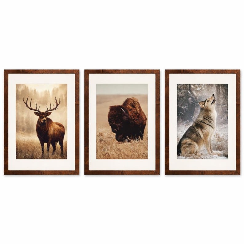 Op de afbeelding: Set van drie ingelijste kunstprints met wilde dieren. De prints tonen een hert, een bizon en een wolf. Elke afbeelding is ingelijst in een donkerbruine houten lijst met een witte passe-partout. Geschikt voor woondecoratie.