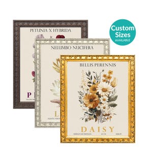 May include: Three framed botanical prints featuring floral illustrations. The front print is in a gold frame with a daisy bouquet and the text BELLIS PERENNIS DAISY. The middle print is in a silver frame, and the back print is in a dark brown frame.