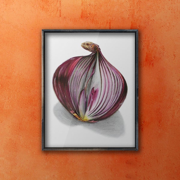 Onion - BioCreative Arts - Art Prints for Dietitians, Nutritionists, Healthcare Professionals, and Foodies