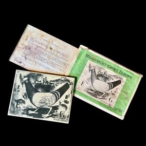 May include: Vintage book and tile set featuring illustrations of pigeons. The book cover reads "MAASTRICHT GROET EUROPA" in green text. The tile has a similar pigeon illustration with the letters "E" and "G". The book is open, revealing text on the inside pages.