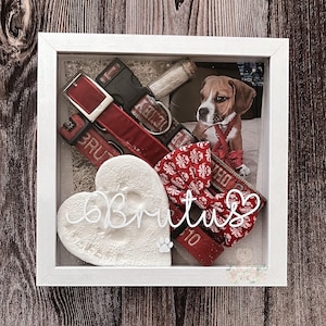Caja de sombras conmemorativa personalizada para mascotas, perros y gatos con nombre y huella de pata.