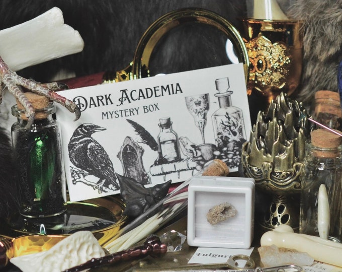 Dark Academia Mystery Box  | Oddities | Curio Cabinet | Dark Academia Decor | Goth Décor |
