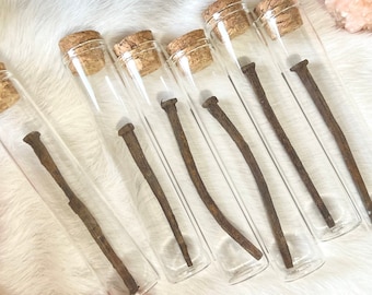 Coffin Nails | Oddities | Curiosities | Antique | Dark Academia |