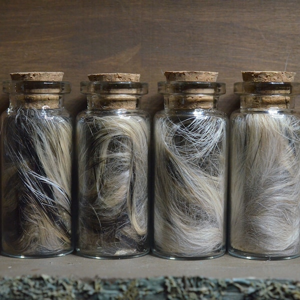 Badger Fur | Oddities | Ethical Taxidermy | Real Fur | Goblincore | Cottagecore | Vulture Culture |