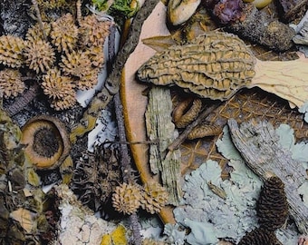 Forest Finds Mystery Box LARGE 30+, Mushrooms, Nature supplies, Plant Decor, Terrarium Kit, Goblincore, Moss Art, Foraged Items