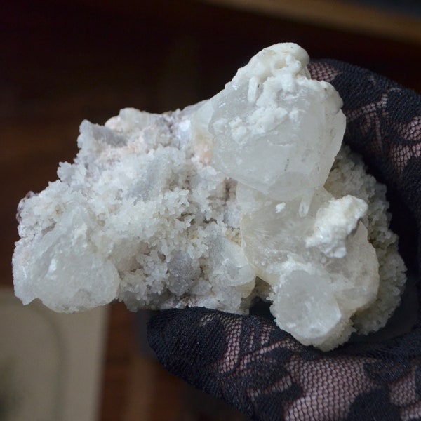 Apophyllite Cluster on Coral Matrix Chalcedony Quartz | Whimsigoth | Raw Zeolite Crystal |