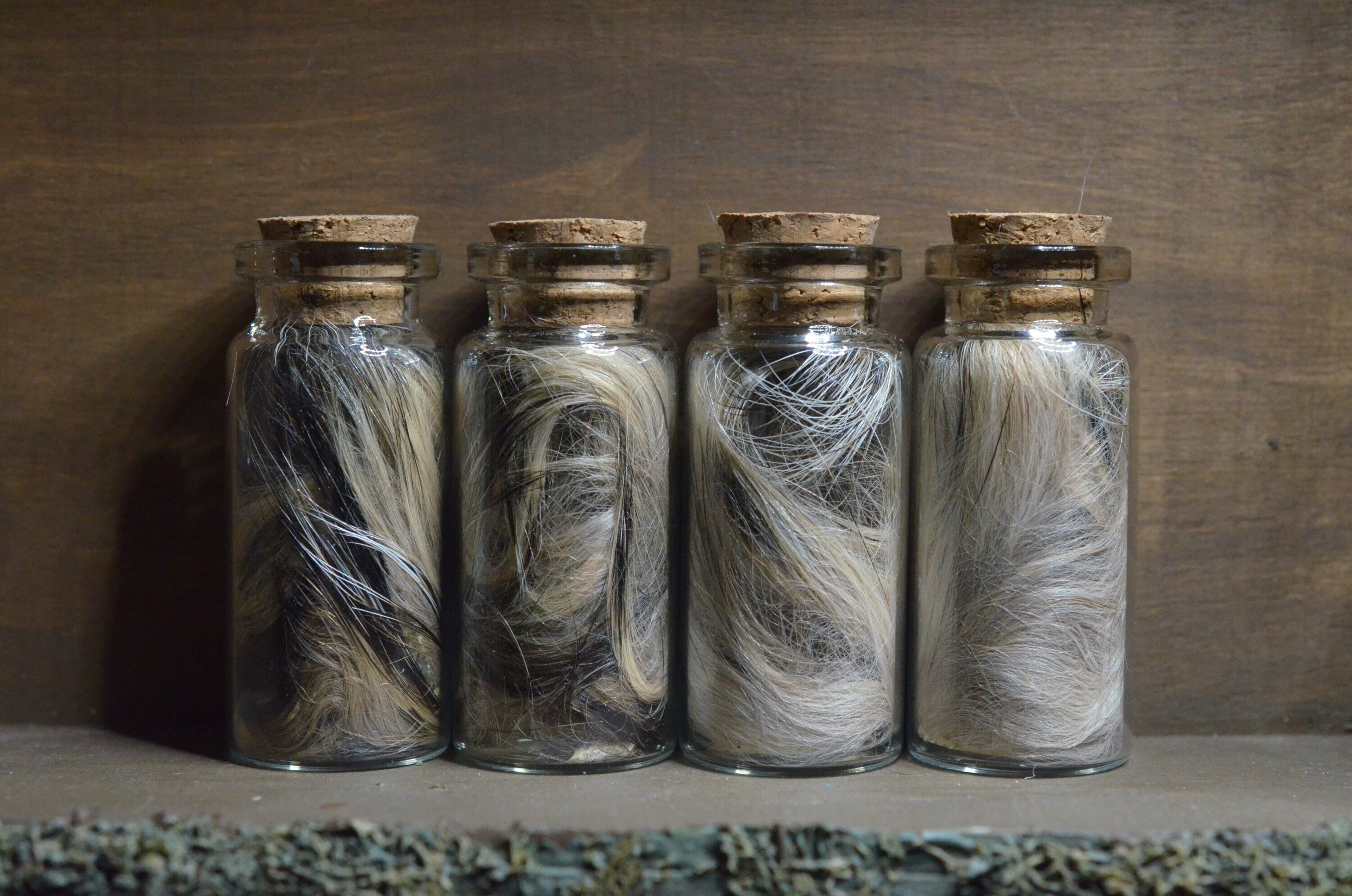 Badger Fur | Oddities | Ethical Taxidermy | Real Fur | Goblincore | Cottagecore | Vulture Culture |