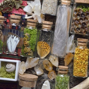 Goblincore Mystery Oddities | Bones | Curiosities | Whimsigoth | Cottagecore | Mushroom Decor | Nature Gifts |