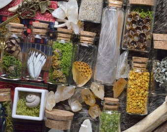 Goblincore Mystery Oddities | Bones | Curiosities | Whimsigoth | Cottagecore | Mushroom Decor | Nature Gifts |