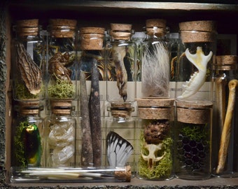 Oddities Mystery Box | Personalized Gifts |