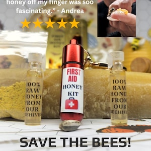Interact With Honey Bees -  Revive a Bee -  Bee Kit - Honey Bee Gifts - Gifts For Bee Lovers - Bee Gifts Beekeeper Toys Keychain Accessories