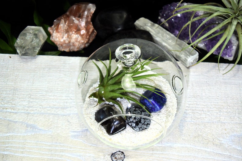 Dispel Negativity Crystals Tillandsia Terrarium Dispel Negativity Crystal Gift Set Air Plant Dispel Negativity Crystal Terrarium Office Gift