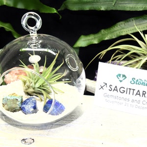 Sagittarius Zodiac Crystals Tillandsia Terrarium Sagittarius Crystals Gift Set Air Plant Sagittarius Crystals Terrarium Sagittarius Stones
