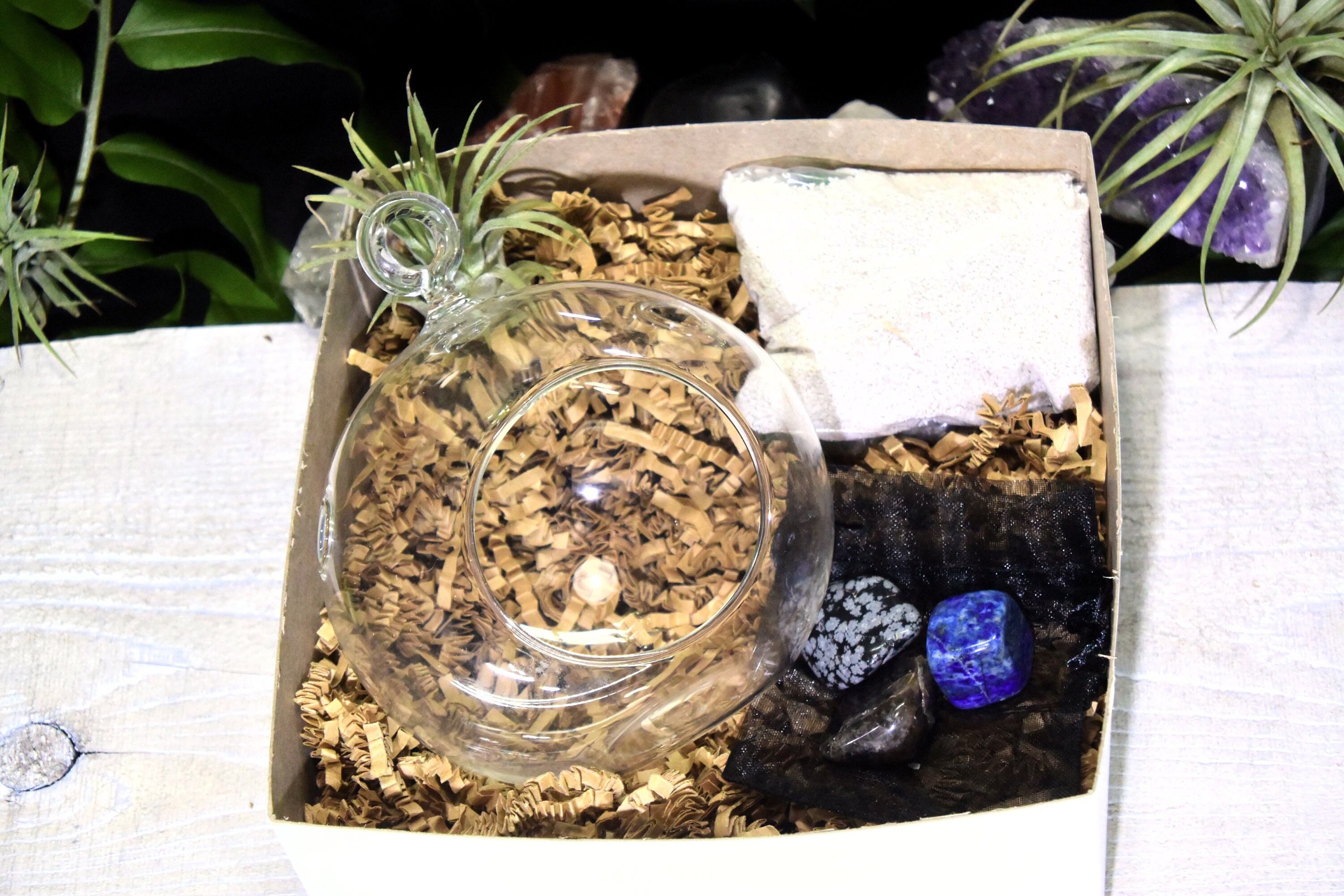 Dispel Negativity Crystals Tillandsia Terrarium Dispel - Etsy