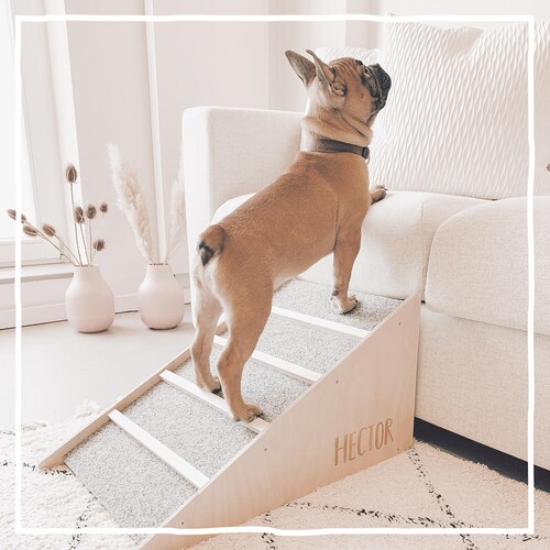 dog stair helper