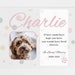 Pet Memorial Printable, Editable Pet Memorial File, Editable Pet ...