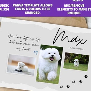 Pet memorial printable, Editable pet memorial file, Editable Pet Memorial, Pet loss download, Digital Pet Memorial, Pet Loss, Pet Printable