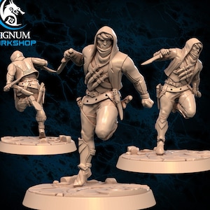 Pigon the Shadow Strike | 32mm or 28mm Fantasy Miniature | DnD Miniature | Tabletop Games | RPG |  Signum Workshop