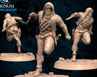 Pigon the Shadow Strike | 32 mm eller 28 mm Fantasy Miniatyr | DnD Miniatyr | Brädspel | RPG | Signum Workshop