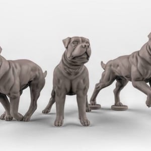 Dogs | Fantasy Resin Miniature | DnD Miniature | RPG | Tabletop Game | Duncan Shadow Louca
