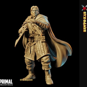 Pablo Rougue | Hero Quest | Fantasy Miniature | Dungeons and Dragons | DnD Miniature | Tabletop Game | RPG | Pathfinder